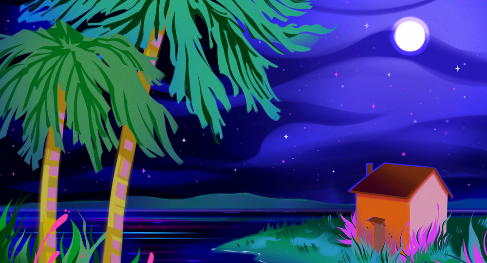 Illustration of a small house by a body of water with palm trees under a starry night sky.